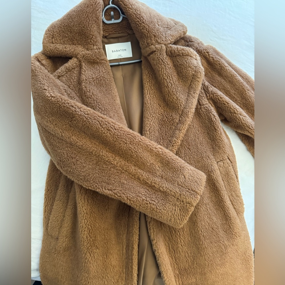 Aritzia Babaton Coat